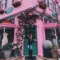 Franziska Bachfischer's Photo