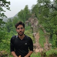 Mojtaba Hashemi's Photo