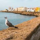 Couchsurfing Monthly Meet Up!'s picture