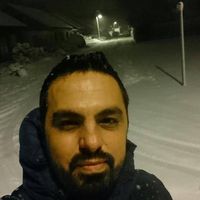 Robin Robin的照片