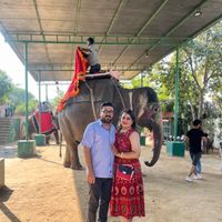 Mohammad Hossein Soltani的照片