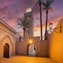 Explore the Hidden Gems of Marrakech Medina
's picture