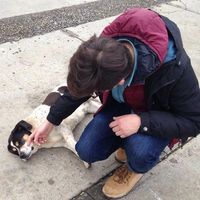 Leonardo Andrade Rodriguez的照片