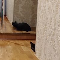 Sevde Aktas的照片