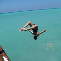 Will Harcourt's Photo