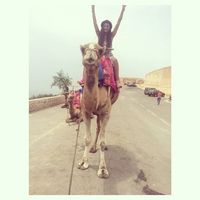 Saida El Hassaki's Photo