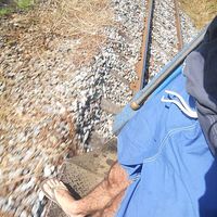 Pedro Santos's Photo