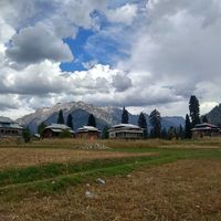 Javaria Syed's Photo