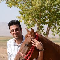 Mohammadreza Jafari的照片