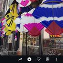  🪁Basant 6 To 8 Feb 2026's picture