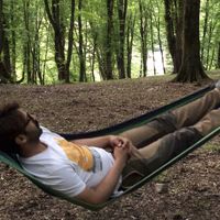 Alireza Farsi的照片