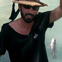 Eyal Kdoshim's Photo