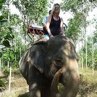 Anne Johnsen的照片