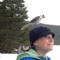 Jillian Kinney's Photo