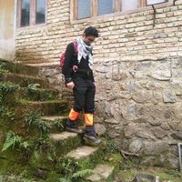 Omid Fallahzade的照片