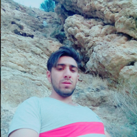 amin pourshojaei的照片