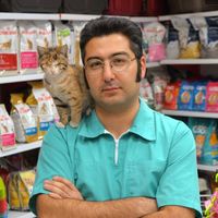 Alireza Golmohammadi's Photo