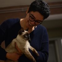 Farzaneh Ghorbani's Photo