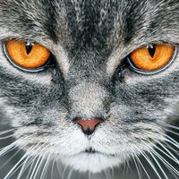 Patrick Parcon's Photo