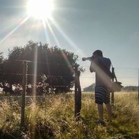 Javier Hernandez's Photo