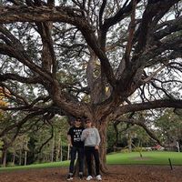 Ji Seong Choi的照片