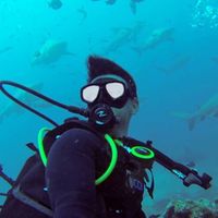 Fotos von Christopher Liu