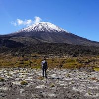 Rens Jonker的照片