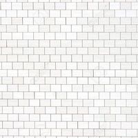 Sreekant Singh的照片