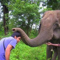 Rahul Wadhwa's Photo