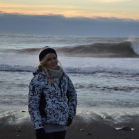 Sandra Mark的照片