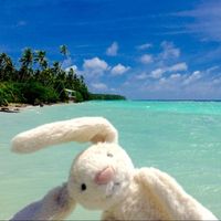 Fotos von Hitomi Handa