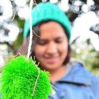 Fotos de Alejandra Torres Meza