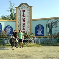 Le foto di saman Fathi