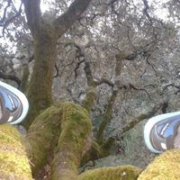 Emilio Medina的照片