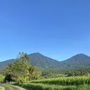 One Day Trip To North Bali's picture