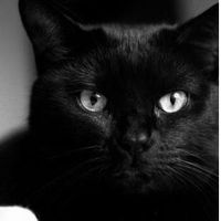 Maria Angulo's Photo