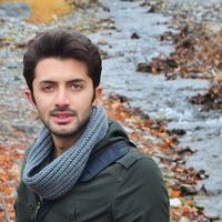 Hadi Zaeifi的照片