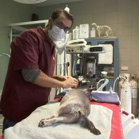 radhouane Daoud的照片