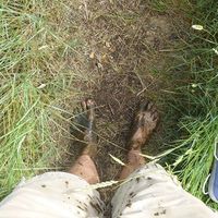 James Garvey的照片