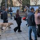 Busk With Me @Lapusneanu St. 's picture