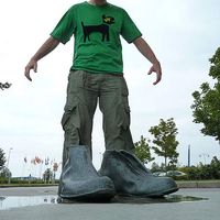 Tom Kingsley's Photo