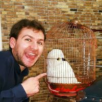 Carlos Pereira's Photo