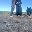 Couchsurfing Road Trip Invitation's picture