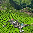 Foto de Visit Batad Rice Terraces, Ifugao