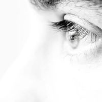 Cristian Le Voyageur's Photo