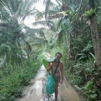 Sarah Duchemin's Photo