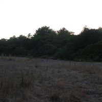 marion alaplantive's Photo