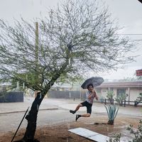 Marcel Sayre的照片