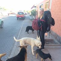 Pernille Madsen's Photo