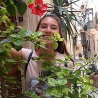 Фотографии пользователя Olgica Stanojev